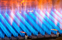 Windyknowe gas fired boilers